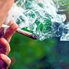 Symbolfoto Joint.