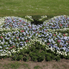Bild :