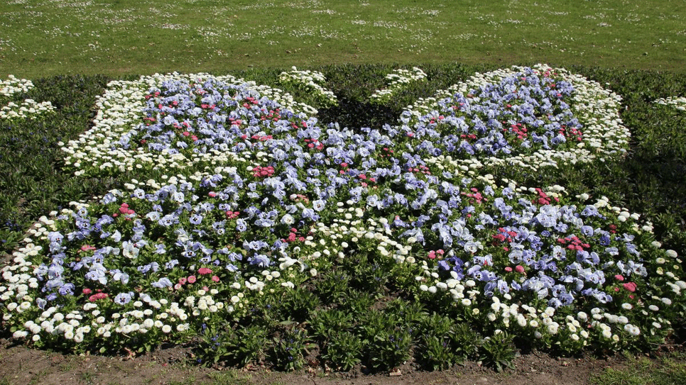 Bild : So kunstvoll blüht es in den Beeten: Ein Rundgang durch den Stockacher Stadtgarten