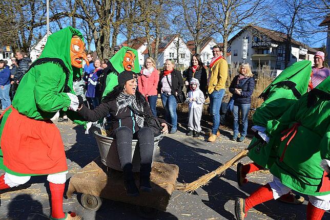 Bild 46: Bilder vom Narrentreffen der Urviecher-Zunft Bad Dürrheim: Großer Festumzug (2)