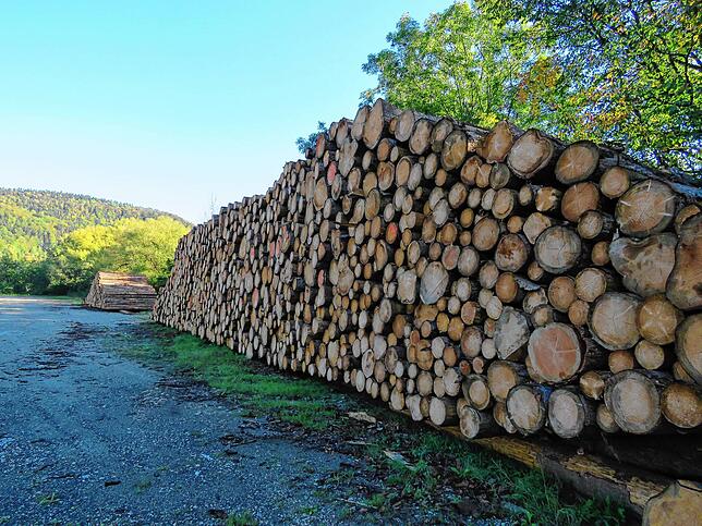Rund 1100 Festmeter Holz lagert die Stadt Geisingen auf einem Trockenholzlager in Kirchen-Hausen zwischen. Die Qualität des vom Käfer ...