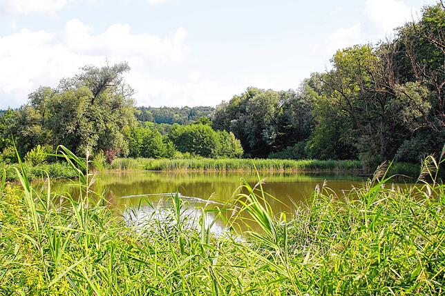 Der Eisweiher zwischen dem Osterholz-Stadion und dem Freibad Stockach ist ein beliebtes Naherholungsgebiet für Stockach und ein Refugium ...