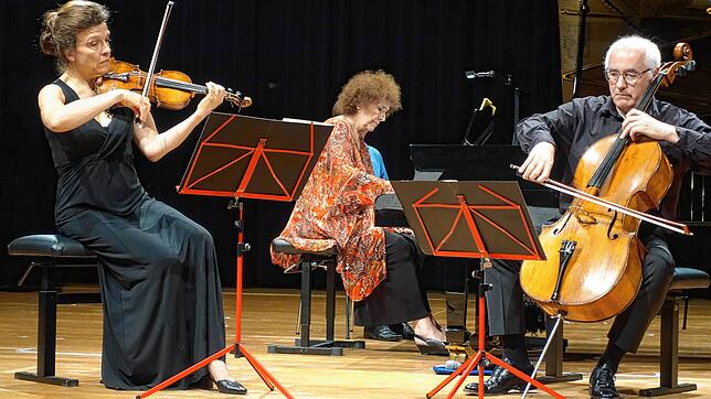 Das Dozenten-Trio im konzentrierten Spiel (von links): Anke Dill an der Violine, Carmen Piazzini am Klavier und Gustav Rivinius am ...