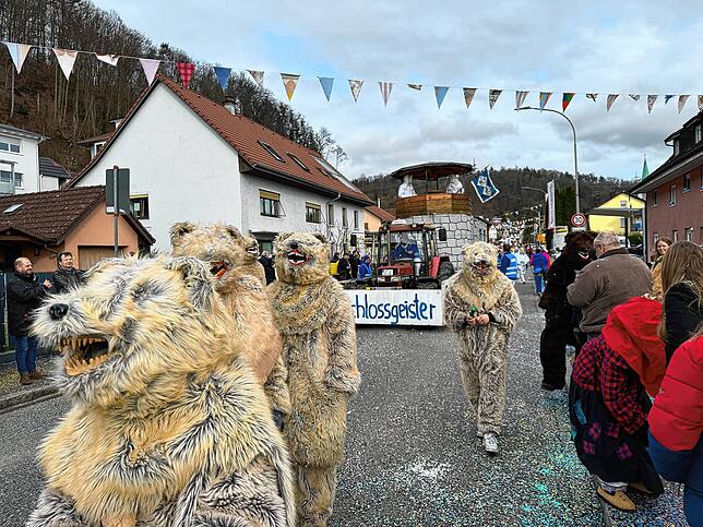 Bild 47: Spaß beim VHN-Narrentreffen: Bilder vom Umzug (1)