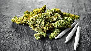 Die Polizei findet eine unerlaubte Menge Cannabis und eine Schreckschusswaffe in der Wohnung des Vöhrenbacher Angeklagten. (Symbolbild) ...