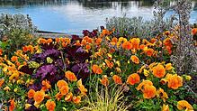 Bild : Mehr als Blumen und Stauden: So vielseitig sind die Aufgaben der Stadtgärtnerei Waldshut-Tiengen