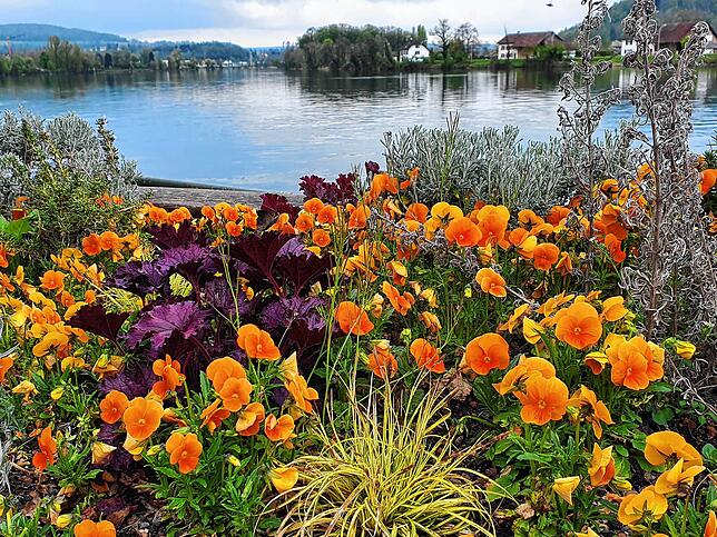 Bild 3: Mehr als Blumen und Stauden: So vielseitig sind die Aufgaben der Stadtgärtnerei Waldshut-Tiengen