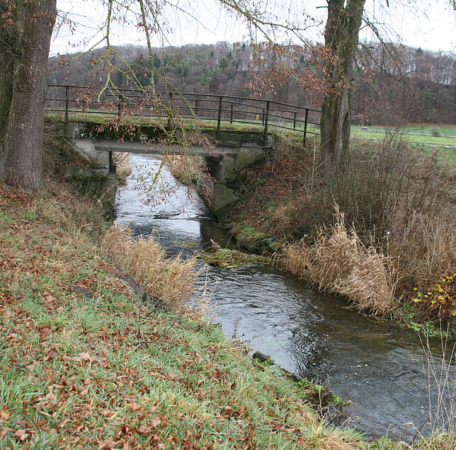 In einem äußerst maroden Zustand präsentiert sich die kleine Kehlbachbrücke beim Walder Ortsteil Glashütte. An ihr führt der Weg von der ...