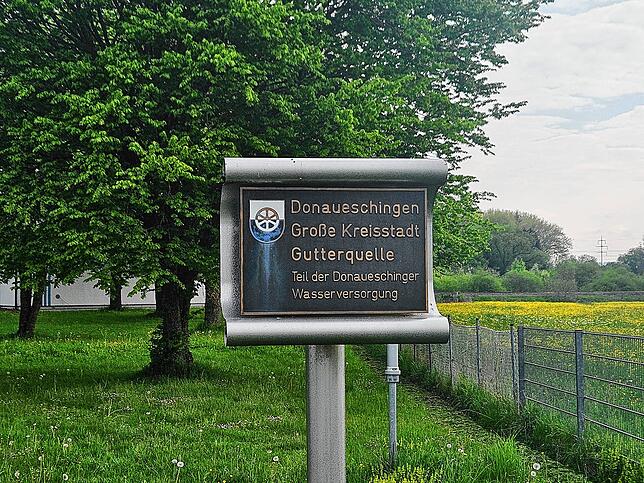 Bei den meisten Donaueschingern läuft Wasser aus der Gutterquelle aus dem Wasserhahn.