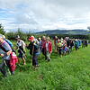 Bild :