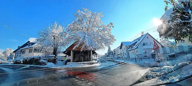 Bild 13: Was für ein Wintereinbruch am Bodensee: Die schönsten Schnee-Bilder vom Wochenende