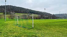 Der Sportverein Krenkingen möchte die Halogenstrahler seiner Flutlichtanlage auf LED-Technologie umrüsten.