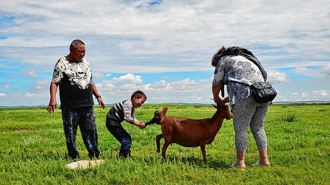 Das Leben spüren: Ein kleiner Junge hilft einem Zicklein auf die Welt. Gesehen hinter dem Kloster Erdene Dsuu in Kharkhorin, Mongolei.