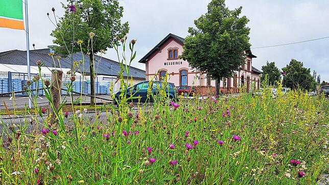Blühstreifen parallel zur Fahrbahn ziehen sich in Meßkirch die ganze Bahnhofstraße entlang. Sie sind Anziehungspunkt für Schmetterlinge, ...