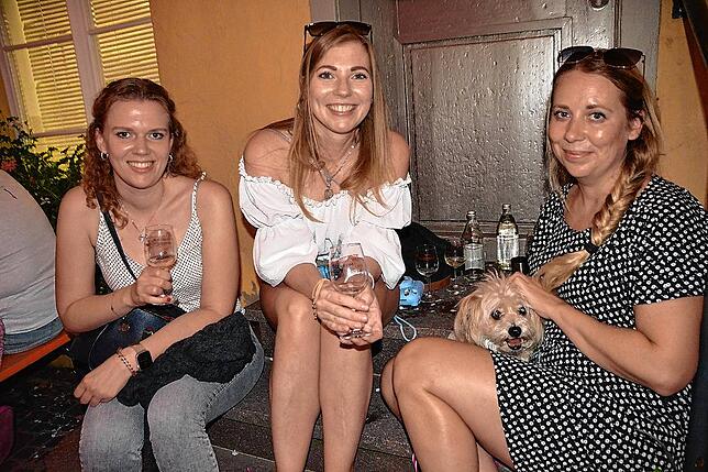Bild 10: Das 47. Bodensee Weinfest in Meersburg ist eröffnet