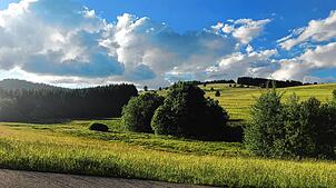 Im Ödland in Herrischried könnten Windräder errichtet werden.