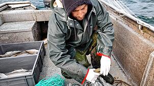 Urs Riebel beim Fang auf dem Bodensee. Der Ertrag des Fischers schwankt täglich.