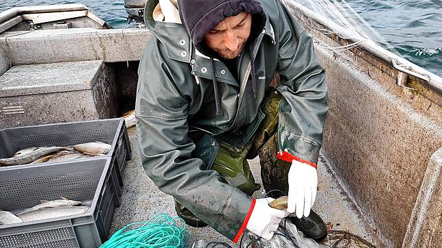 Urs Riebel beim Fang auf dem Bodensee. Der Ertrag des Fischers schwankt täglich.