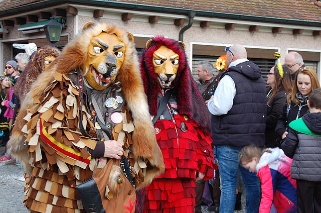 Bild 14: Bilder vom Fasnachtsumzug in Laufenburg (2)
