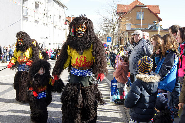 Angeführt wurde der diesjährige Narrensprung vom See-Grendl, denn die jüngste Maskengruppe in der Narrenzunft Seegockel feiert in diesem ...