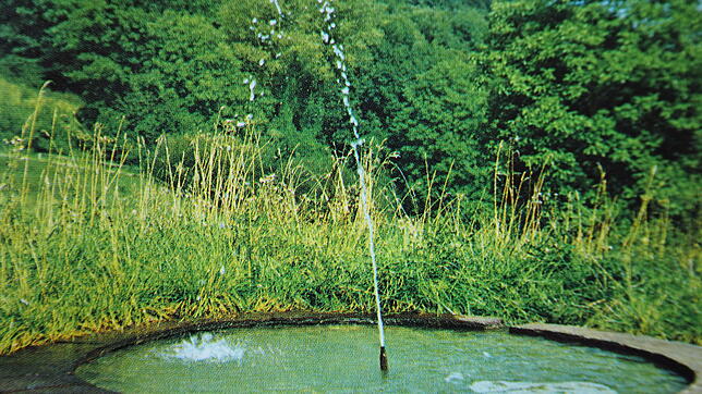 Hier kommt warmes Wasser aus einem halben Kilometer Tiefe: Ein Blick auf das Quellbecken in den 1970er Jahren.
