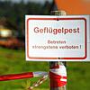 Viele Gemeinden im Schwarzwald-Baar-Kreis gehören wegen der Geflügelpest ab 1. April zum Sperrbezirk oder sind Beobachtungsgebiet.