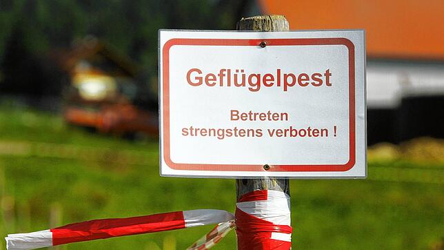 Viele Gemeinden im Schwarzwald-Baar-Kreis gehören wegen der Geflügelpest ab 1. April zum Sperrbezirk oder sind Beobachtungsgebiet.