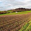 Blick vom Weg unterhalb des Rebbergs Richtung Bahnübergang in Reute: Auf diesem abgeernteten Feld und auf dem Acker auf der ...
