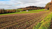 Blick vom Weg unterhalb des Rebbergs Richtung Bahnübergang in Reute: Auf diesem abgeernteten Feld und auf dem Acker auf der ...