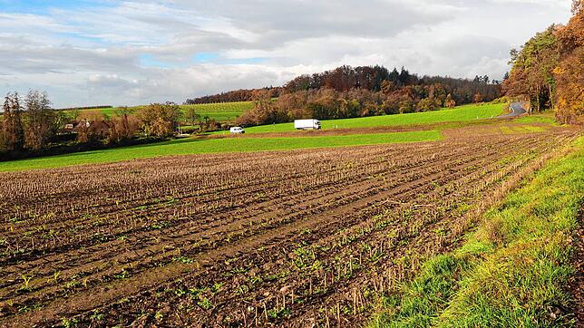 Blick vom Weg unterhalb des Rebbergs Richtung Bahnübergang in Reute: Auf diesem abgeernteten Feld und auf dem Acker auf der ...