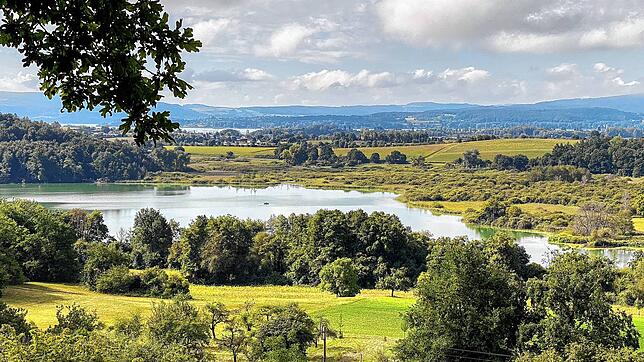 Blick auf den Mindelsee. Beim Seezugang in Möggingen gibt es ein paar Probleme, betroffen sind der neue Steg und eine Steinreihe.