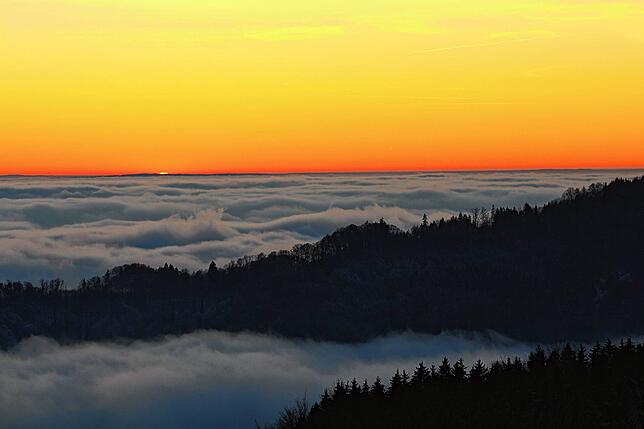 Weitblick vom Höchsten über das Bodensee-Nebelmeer im Winter 2024/2025