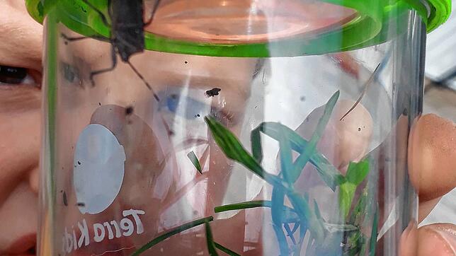 Haustier auf Zeit: &bdquo;Stinki&ldquo; wurde im Lupenglas genauestens beobachtet.
