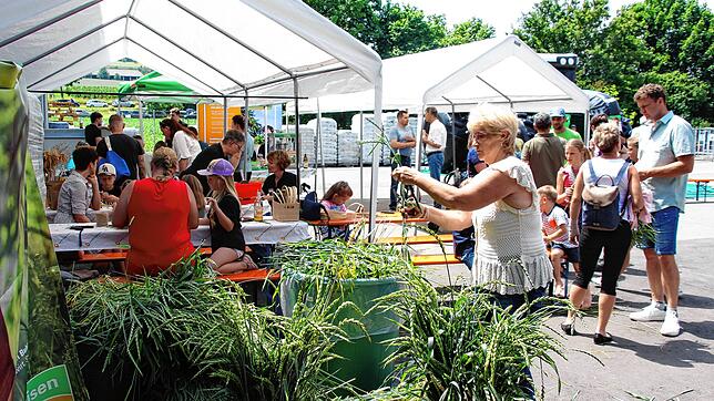 Basteln und Dekorieren mit landwirtschaftlichen Erzeugnissen stieß bei ganzen Familien auf großes Interesse.