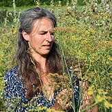Die Pflanzen dürfen im Samengarten ungestört wachsen, bis sie Samen bilden. Maria Schlegel überprüft hier die Samen einer Fenchelpflanze.