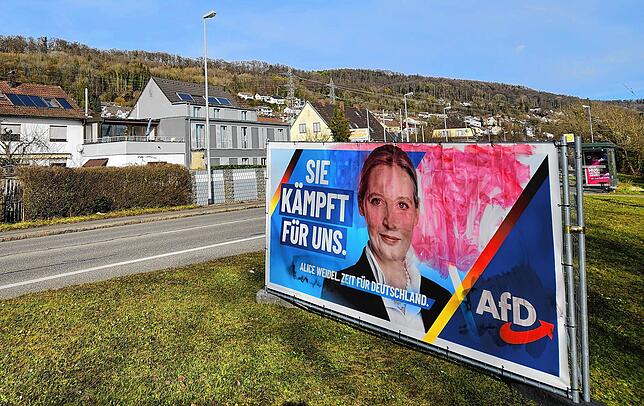 Mit Farbe haben Unbekannte ein Wahlbanner der AfD am Ortseingang von Waldshut-Tiengen beschmiert.