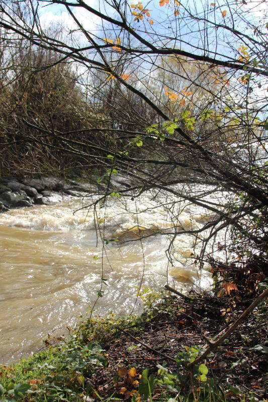 An der Mündung der Rotach bilden sich turbulente Wellen. Bild: Simge Kaplan