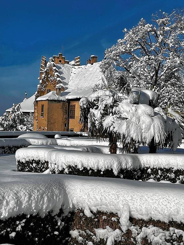 Bild 15: Das kommt so bald nicht wieder: Neue Bilder aus dem Winterwunderland rund um Überlingen und Salem
