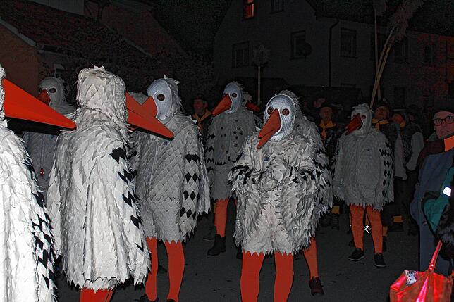 Bild 8: Bilder vom Narrentreffen in Nenzingen (Teil 2)