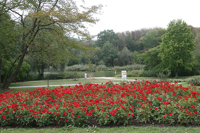 Bild 12: Ein Blick in den Freizeitpark Grütt in Lörrach