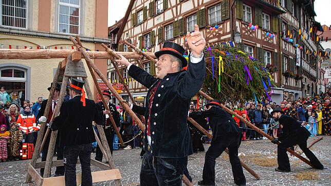 Beim Narrenbaumstellen geht es um Präzision. Sebastian Schmäh gibt das Kommando: &bdquo;Alle miteinander &ndash; Hauruck.&ldquo;