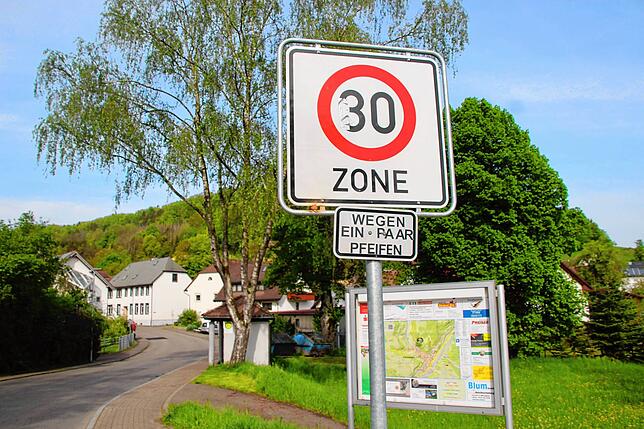 Bild 3: Freche Streiche und viel Musik: Maigeister treiben es am Hochrhein ganz schön bunt