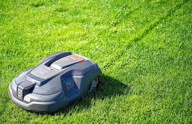 Scheint bequem: Mähroboter verwandeln die Grasspitzen in Mulch, der schnell verrottet und den Rasen auch düngen soll.