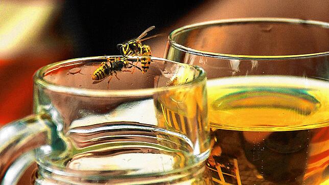 Vorsicht beim Trinken aus Flasche, Gläsern und Büchsen: Derzeit häufen sich die Fälle beim DRK Waldshut und Säckingen aufgrund von ...