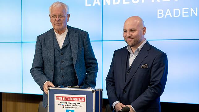 Sänze und Frohnmaier haben es geschafft, den AfD-Landesverband zu befrieden.