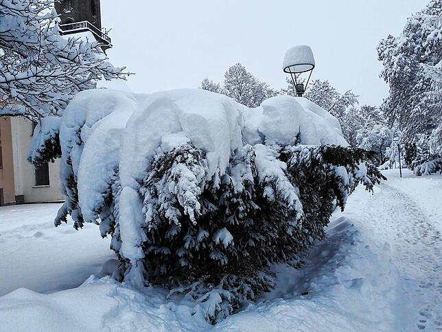 In dicke Schneepolster gepackt sind die Büsche in der Ringanlage.