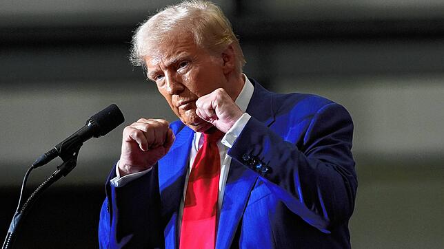 Donald Trump wird der 47. US-Präsident – worauf muss sich Deutschland politisch einstellen?