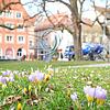Am Chantilly-Platz kündigt sich bereits der Frühling an. Dass dort im kommenden Winter die Eisbahn aufgestellt werden soll, bewegt die ...