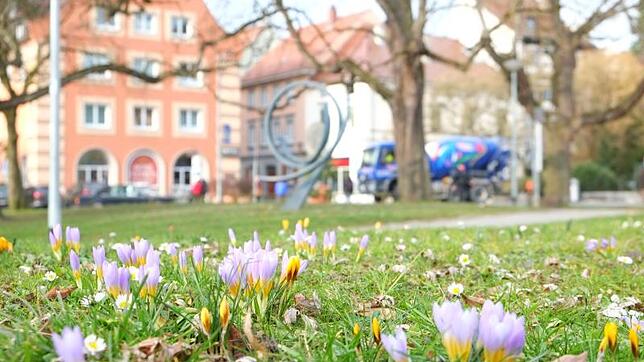 Am Chantilly-Platz kündigt sich bereits der Frühling an. Dass dort im kommenden Winter die Eisbahn aufgestellt werden soll, bewegt die ...