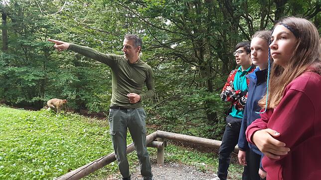 Parkleiter Roland Hilgartner führt eine Gruppe Jugendliche über den Affenberg. Das Foto entstand bei einer SÜDKURIER-Aktion im September ...